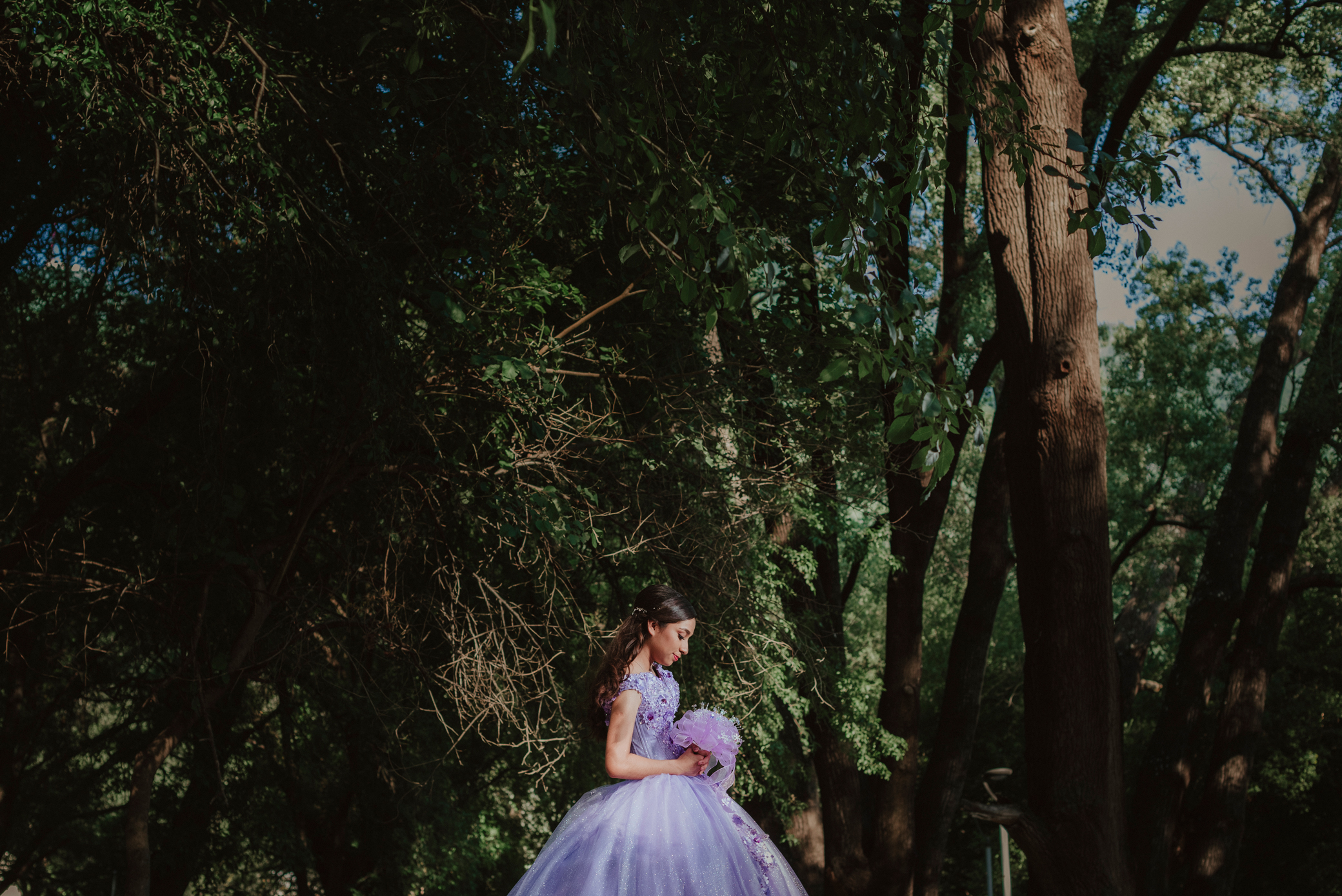 Sesión de XV años de Carolina en el Parque Hundido, Guadalupe, Nuevo León. La quinceañera posa con un vestido morado en el puente del parque, con los árboles de fondo.
